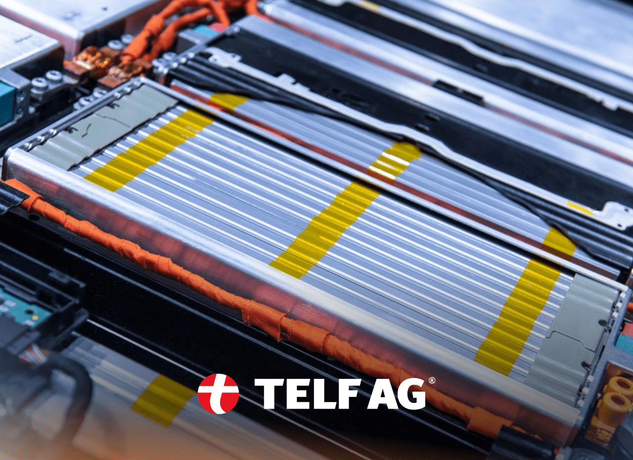 telf ag battery evolution stanislav kondrashov