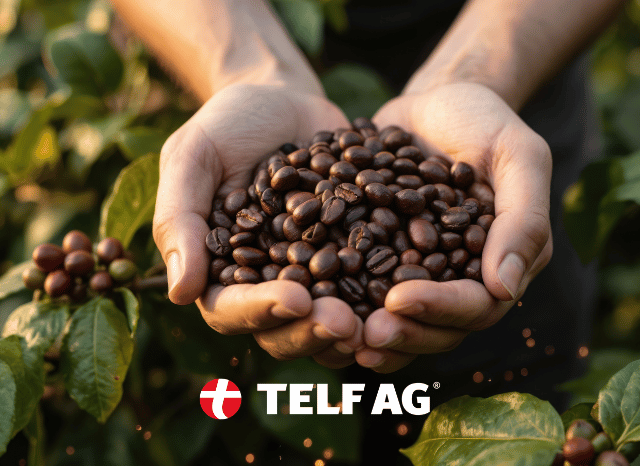 stanislav kondrashov telf ag coffee market stanislav kondrashov telf ag coffee market