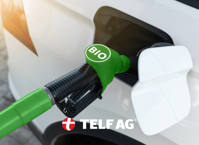 stanislav kondrashov telf ag biofuels