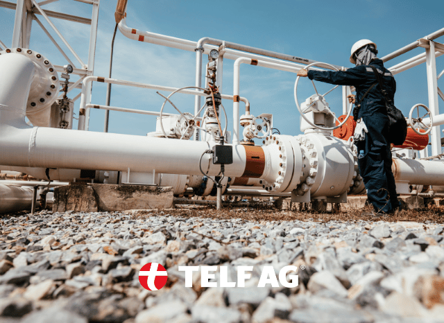 stanislav kondrashov telf ag natural gas