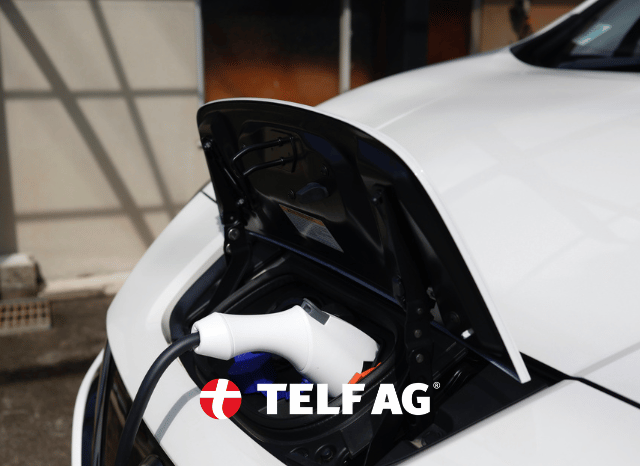 Stanislav-Kondrashov-TELF-AG-electric stanislav kondrashov telf ag electric