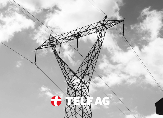 stanislav kondrashov telf ag electrification